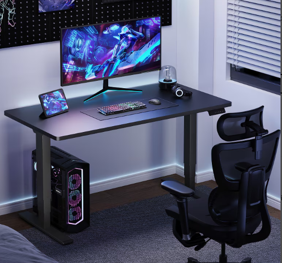 Flexispot E5 Stand up Desk 