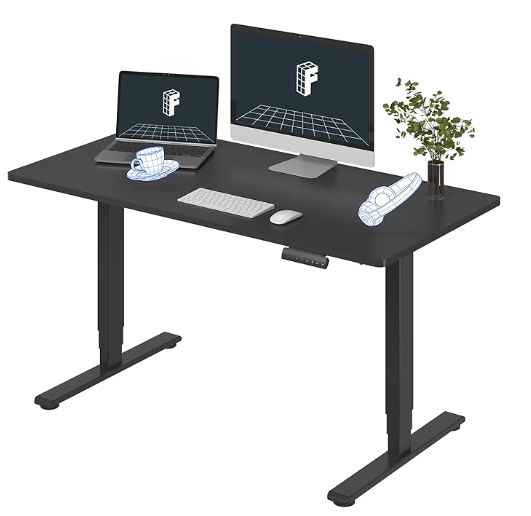 Flexispot E6 Top Stand Up Desk 