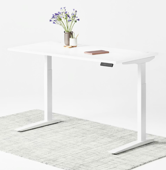 best minimalist standing desk 