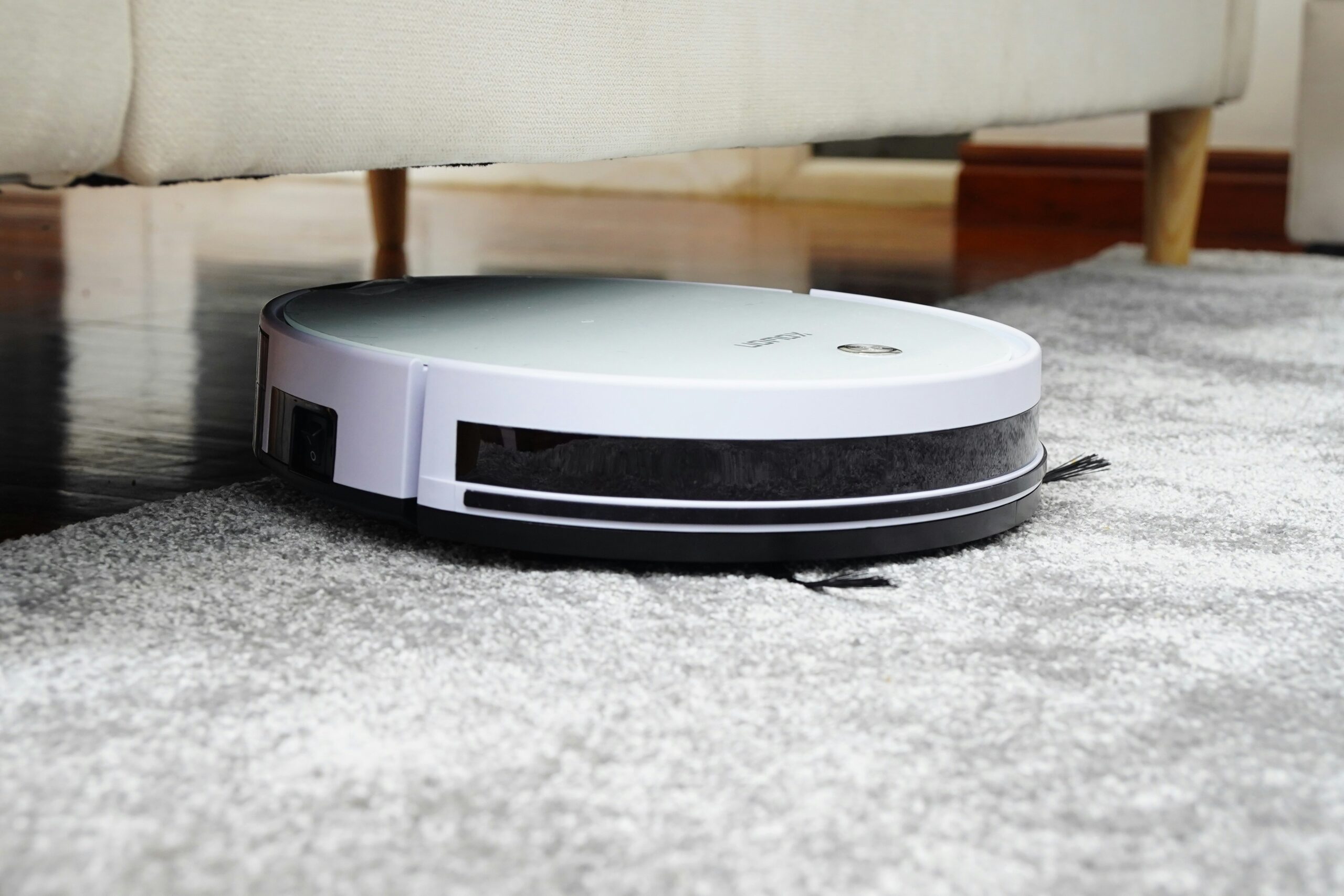 Before you buy a robot vacuum
