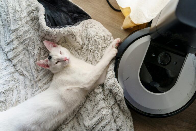 Are Robot Vacuums Worth It For Pet Hair