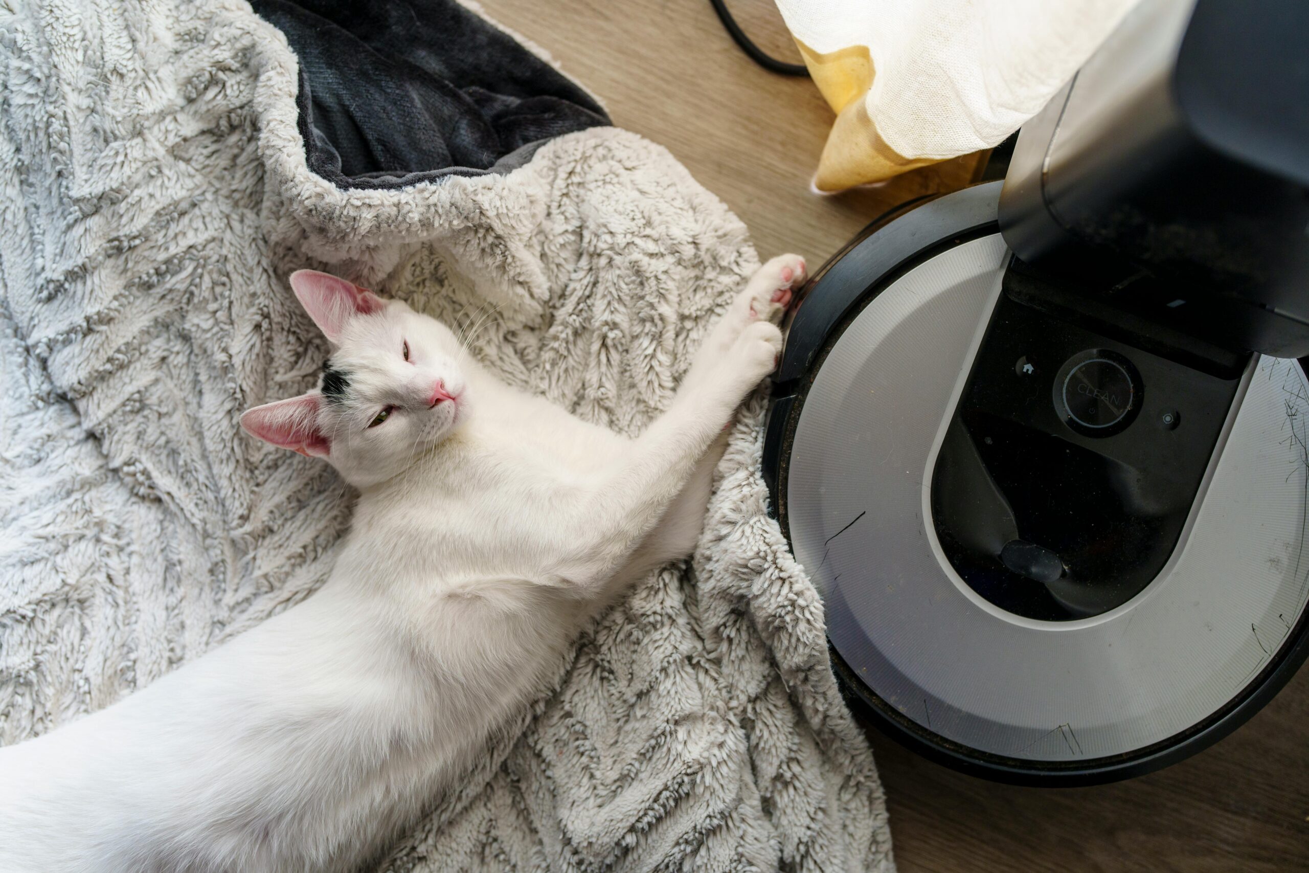 Are Robot Vacuums Worth It For Pet Hair